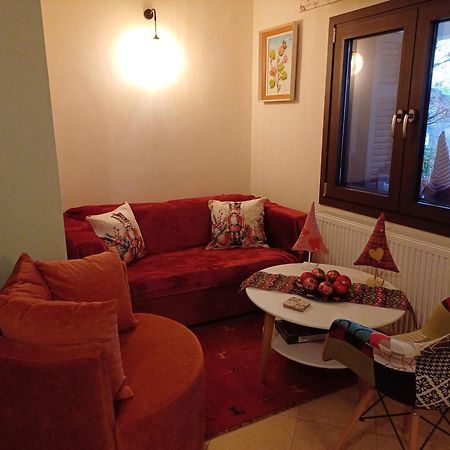 Apartmán Το Σπίτι Της Ευτυχίας Στούντιο Karpenísion Exteriér fotografie