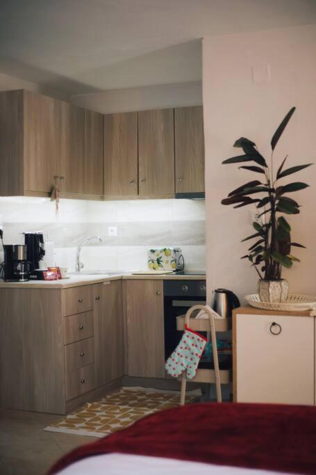 Apartmán Το Σπίτι Της Ευτυχίας Στούντιο Karpenísion Exteriér fotografie