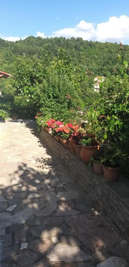 Apartmán Το Σπίτι Της Ευτυχίας Στούντιο Karpenísion Exteriér fotografie